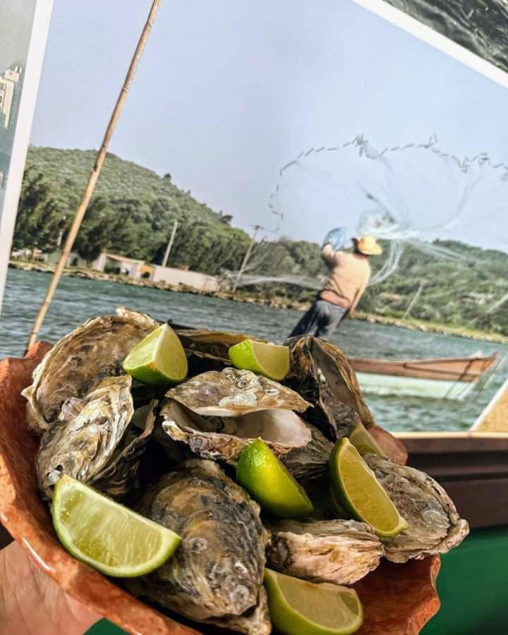 Brisas Do Oceano,50 Metros Do Mar Lägenhet Palhoça Exteriör bild